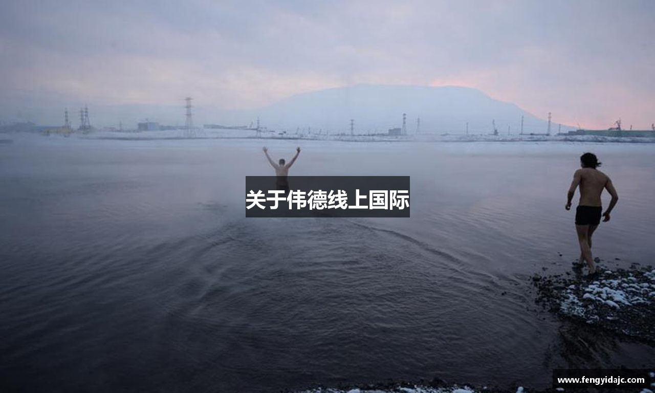 关于伟德线上国际